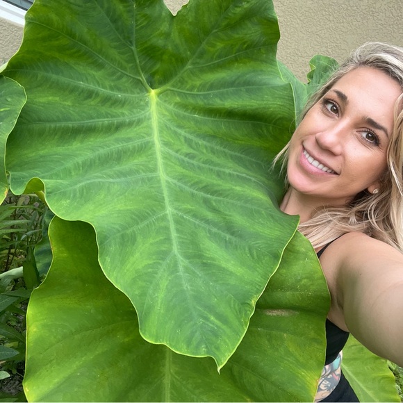 Meet your Posher, Michelle - Picture 1 of 1